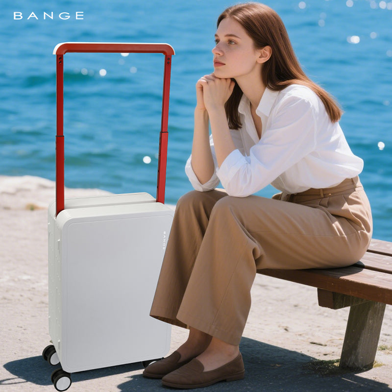 BANGE Stylish 20inch & 24 inch Anti-theft Carry-on Suitcase Luggage for Business Travel